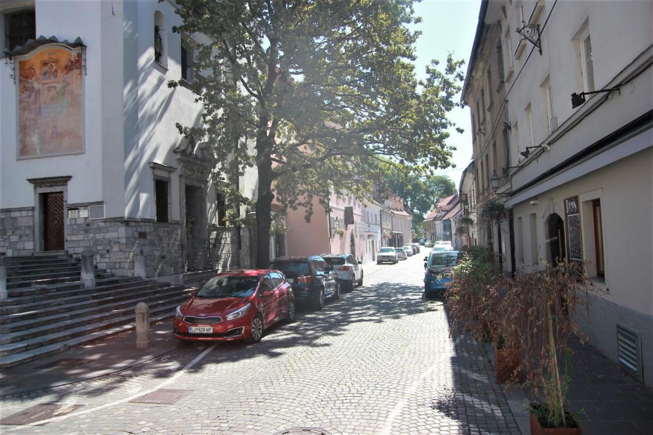Pink House Studio Ljubljana Eksteriør bilde